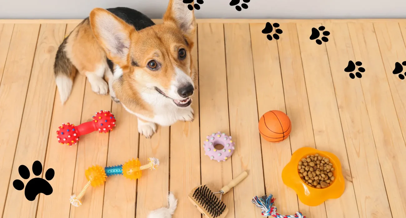 Hundeausstattung